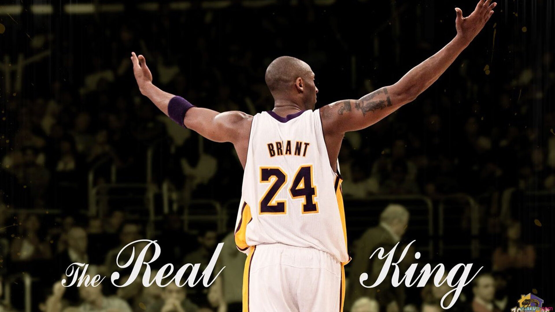 阿尔卡拉斯逆转夺冠 温网上演新王登基史诗对决