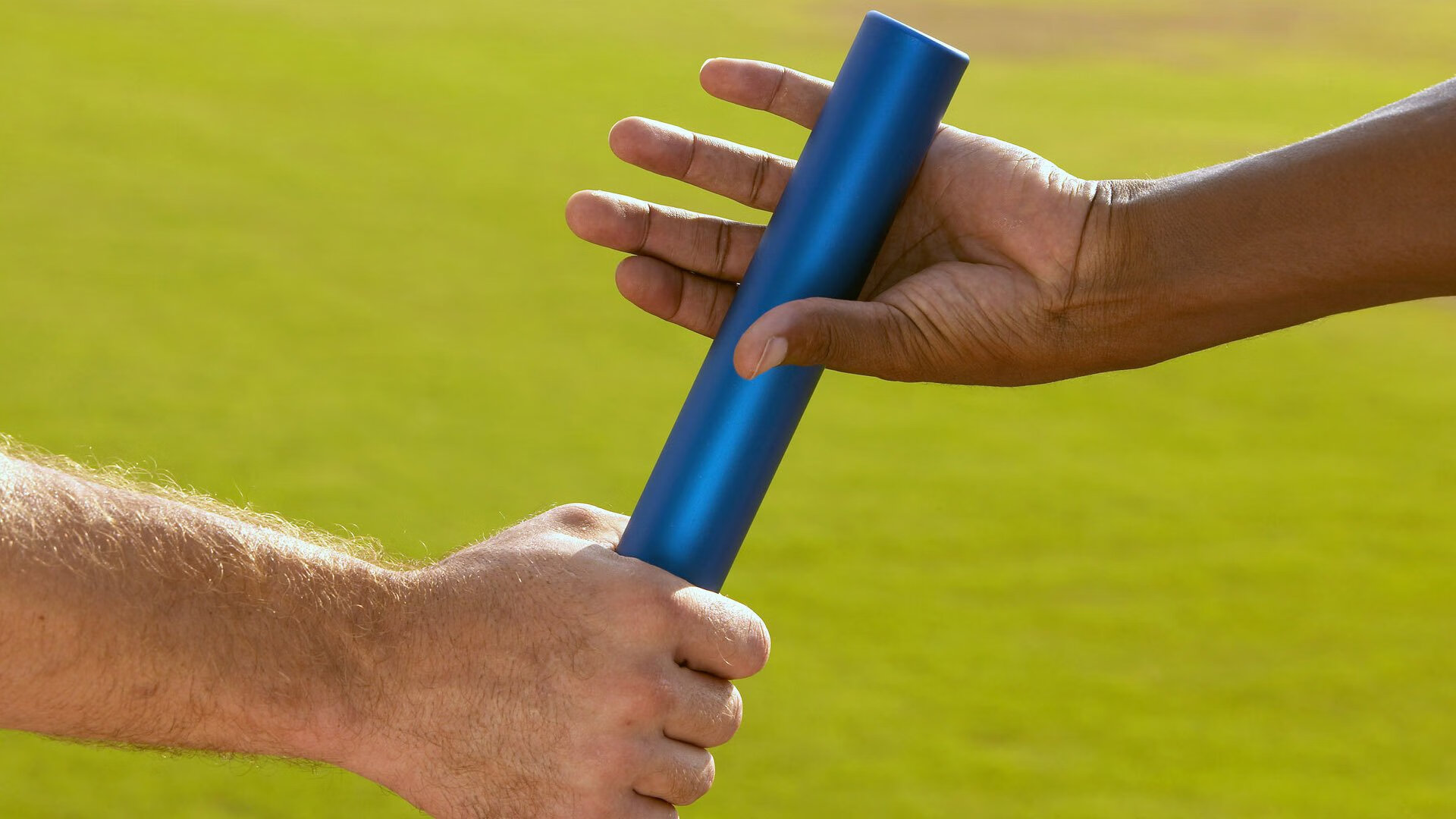 中国跳水队再创辉煌,包揽世锦赛全部金牌